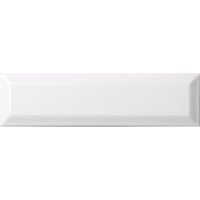 ZoID　ZO2-100(white)