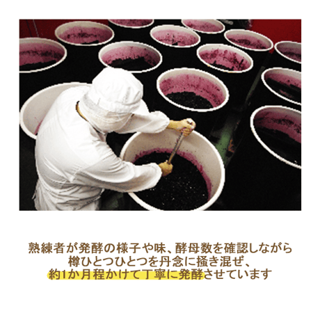 チアシード蒟蒻ゼリー発酵プラス　カシス味（１袋）