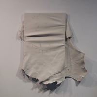 LEATHER PICTURE / 伸張