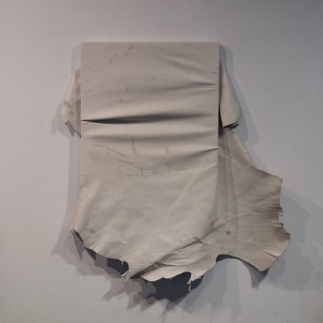 LEATHER PICTURE / 伸張
