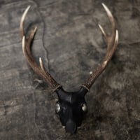 T.A.S X D,HYGEN X IOLOM "REVIVE DEER HEAD"  #02