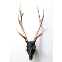 T.A.S X D,HYGEN X IOLOM "REVIVE DEER HEAD"