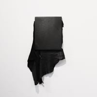 LEATHER PICTURE " 夭折 /  Premature "