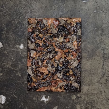 REVIVE LEATHER PICTURESQUE
