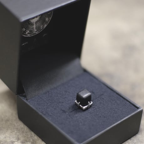 EARRING of THE CLAW ‘SQUARE’  T.A.S x DEW