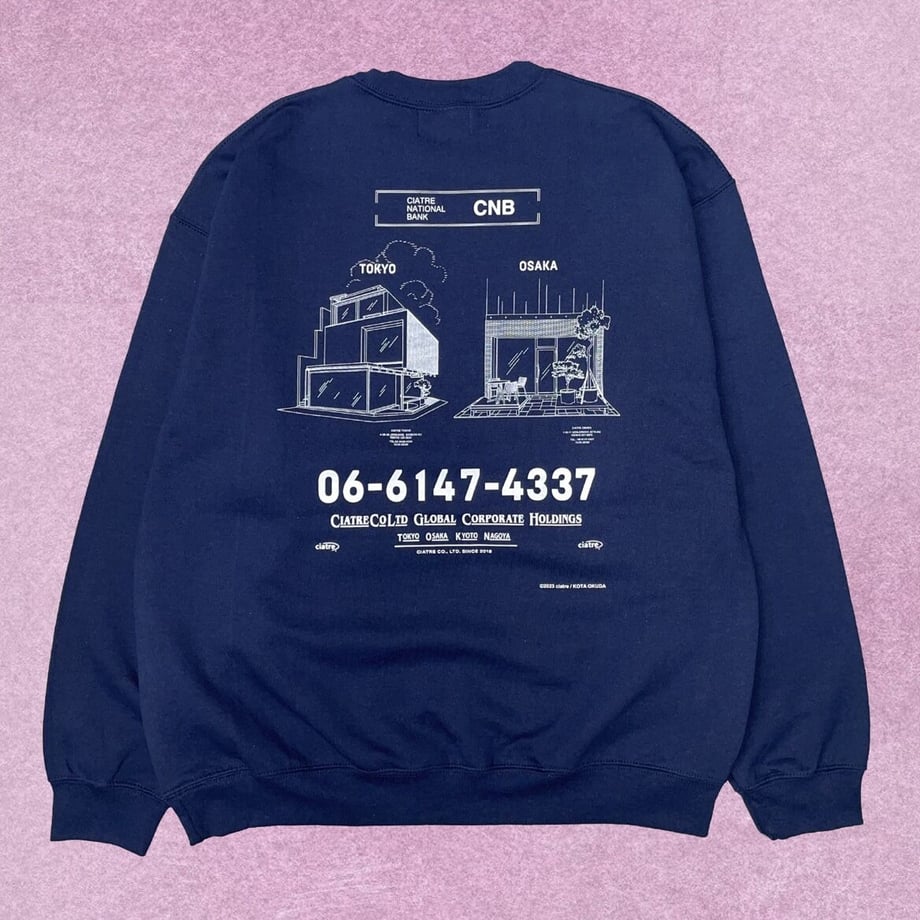 6528e07c1685c908035c8f95