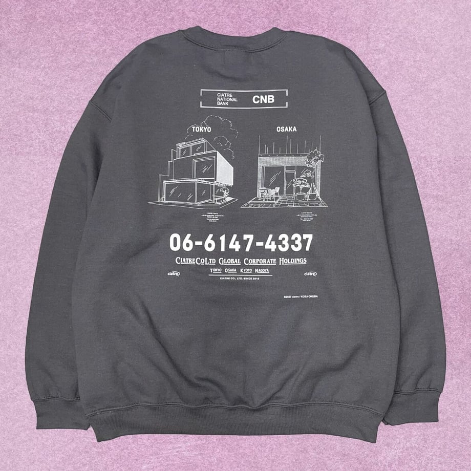 6528e07c1685c908035c8f95