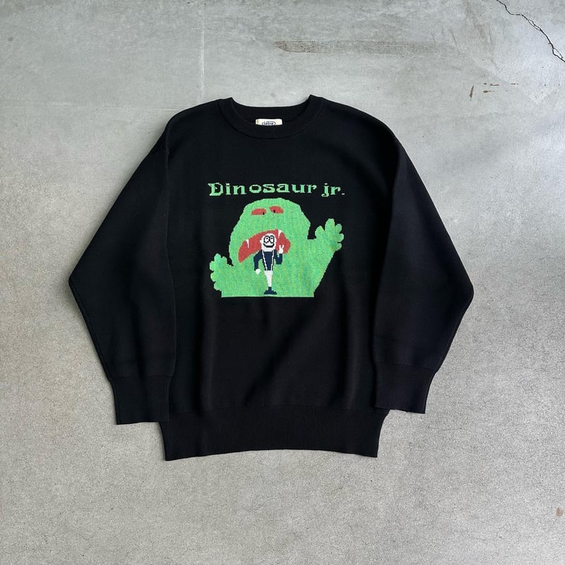 Dinosaur 2025 jr sweater