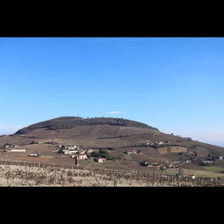 シャトー・ティヴァン 　ヴィーニュ・デキュソール　AOPボジョレー・ヴィラージュ2021/Chateau "Vignes d'Ecussol" AOP Beaujolais Villages 2021