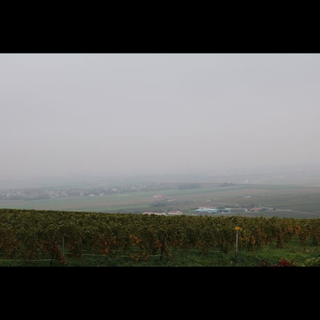 ローラン・シャルリエ 　ル・ブリュット・ブラン・ド・ブラン　 AOP シャンパーニュ/Laurent Charlier Le Brut Blanc de Blancs AOP Champagne NV