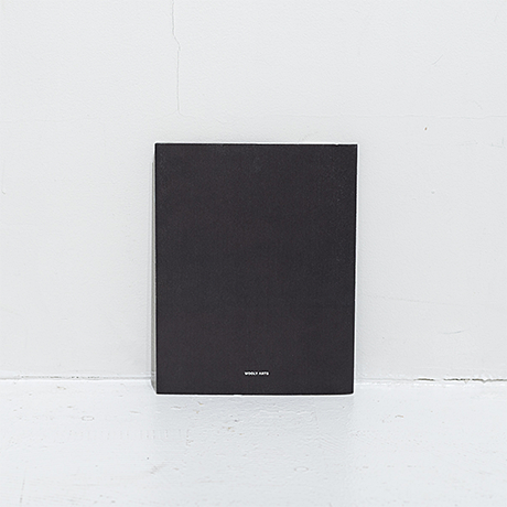 ART BOOK / Toshiaki Tashiro