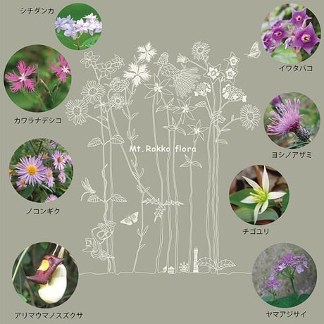 おとなカットソーワンピース　シーグリーン（六甲フローラ）