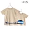おとなＴシャツ　ベージュ（智頭急行スーパーはくと）