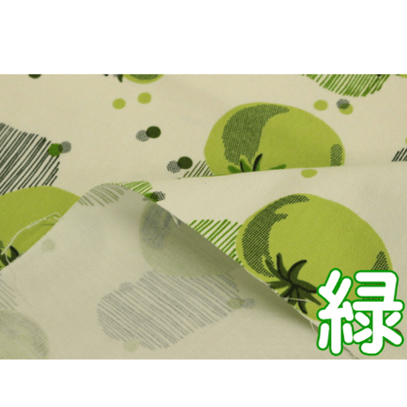 WonderGiftCollection トマト【10cmあたり】