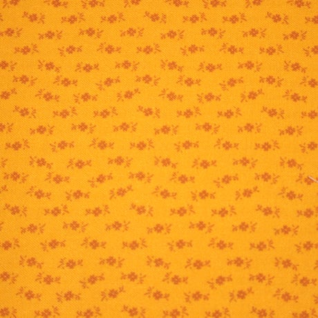 「Windhamfabrics」CircaCirca Sharp Cheddar オレンジ【10cmあたり】 【USプリント 生地】