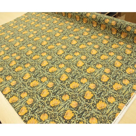 MODA  BEST of MORRIS pimpernel(ピンパーネル) オックス【10ｃｍ単位での販売】