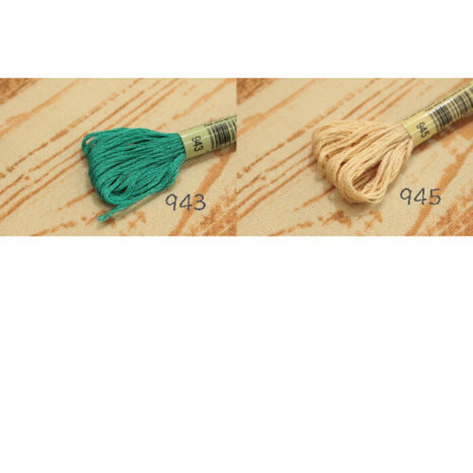 6497e262ec918a0001cbec38