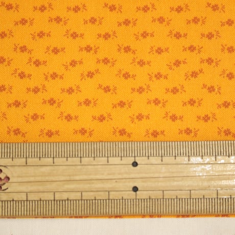 「Windhamfabrics」CircaCirca Sharp Cheddar オレンジ【10cmあたり】 【USプリント 生地】