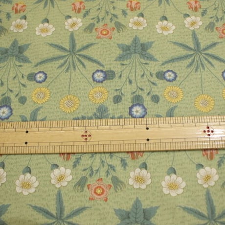 MODA  BEST of MORRIS  ひなぎくシーチング【10ｃｍ単位での販売】