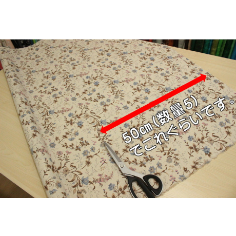 有輪商店　ミュルーズ綿麻シーチング　MU449779【10㎝単位】