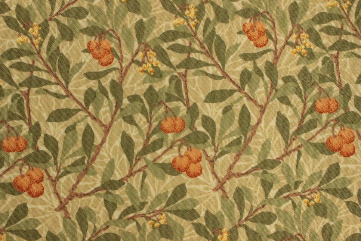 MODA MORRIS MEADOW Arbutus(ヤマモモ) シーチング110㎝幅【10 MODA MORRIS MEADOW Arbutus(ヤマモモ) シーチング110㎝幅【10