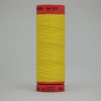 Mettler）メトロシーン100ｍ　col.0113（old col.501）