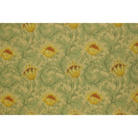 MODA　MORRIS　ANEMONE 110㎝幅【10㎝単位】