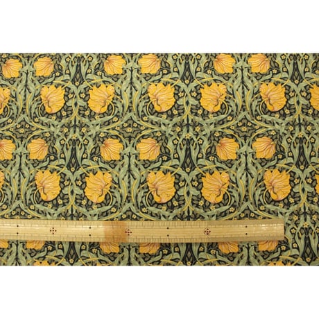 MODA  BEST of MORRIS pimpernel(ピンパーネル) オックス【10ｃｍ単位での販売】