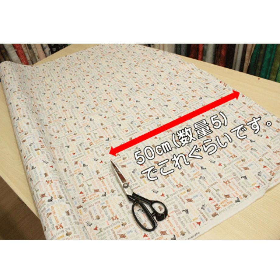 6411a6583c52b7002fbda3c0