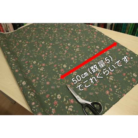 有輪商店　ミュルーズ綿麻シーチング　MU449779【10㎝単位】