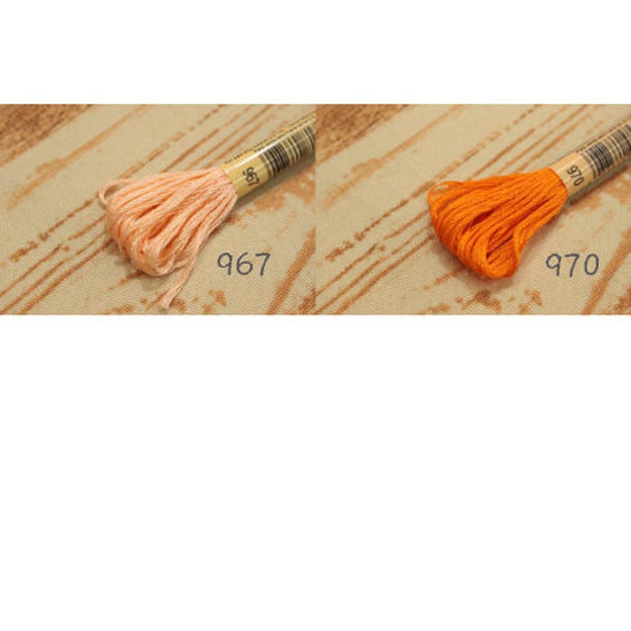 6497e260ec918a0001cbec25