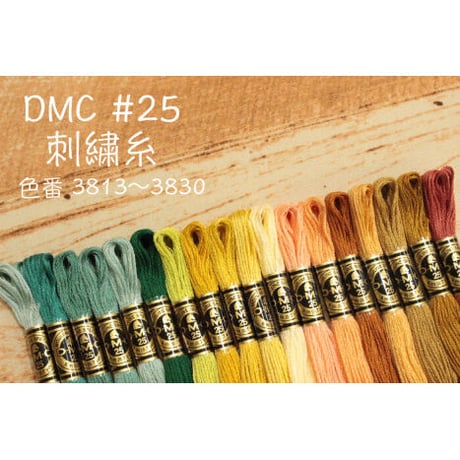 DMC＃25刺繍糸3813～3830