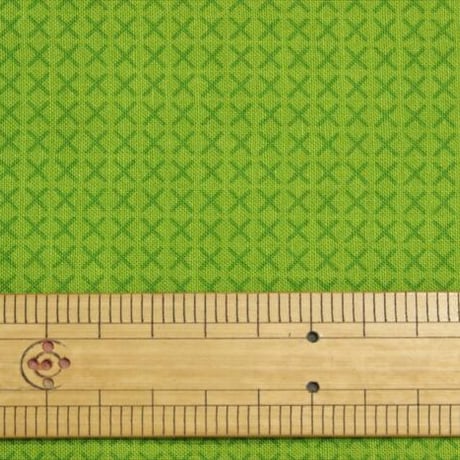CROSS STITCH BY ALISON GLASS【10cmあたり】 【USプリント 生地 刺繍布ではありません】