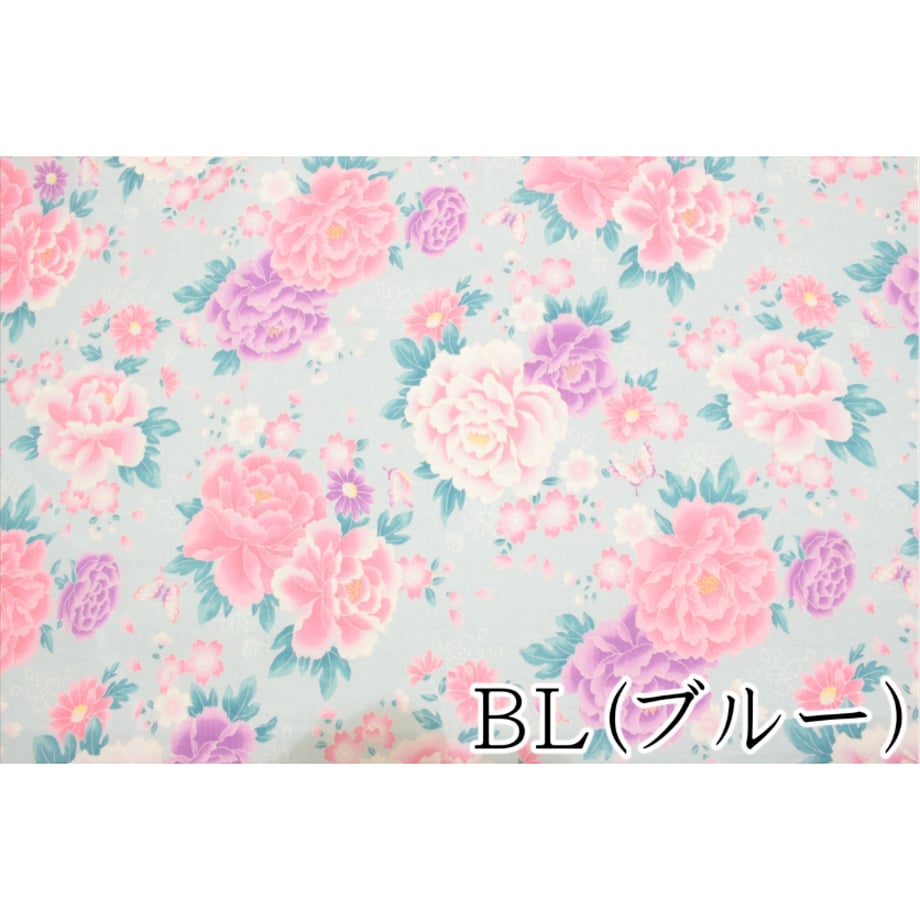 6657039824c2f4003c92c8f1