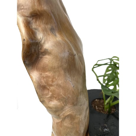 Driftwood Planter