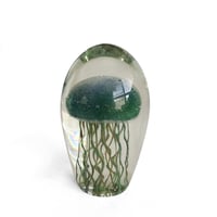 Jellyfish Paper Weight