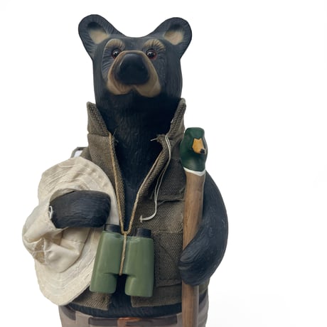 Bird Watching Bear