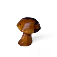 Wooden Mushroom