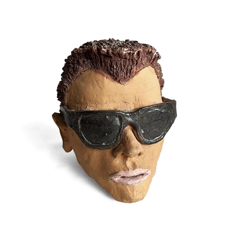 The Terminator Head