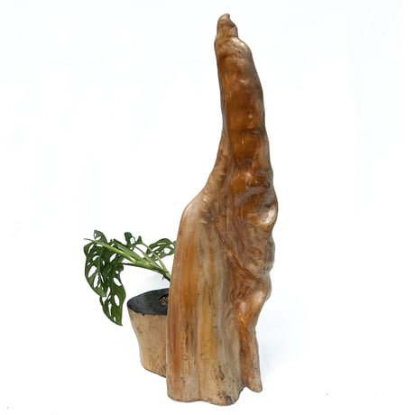 Driftwood Planter