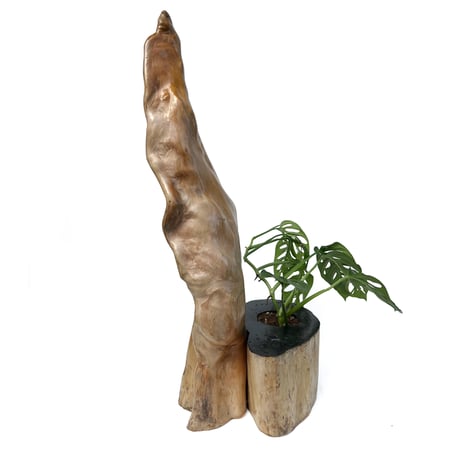 Driftwood Planter