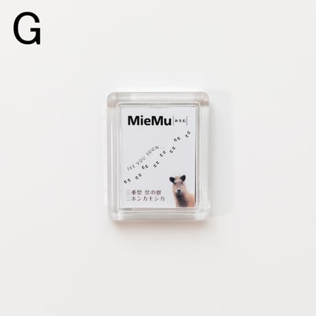 MieMu限定　オリジナルマグネット