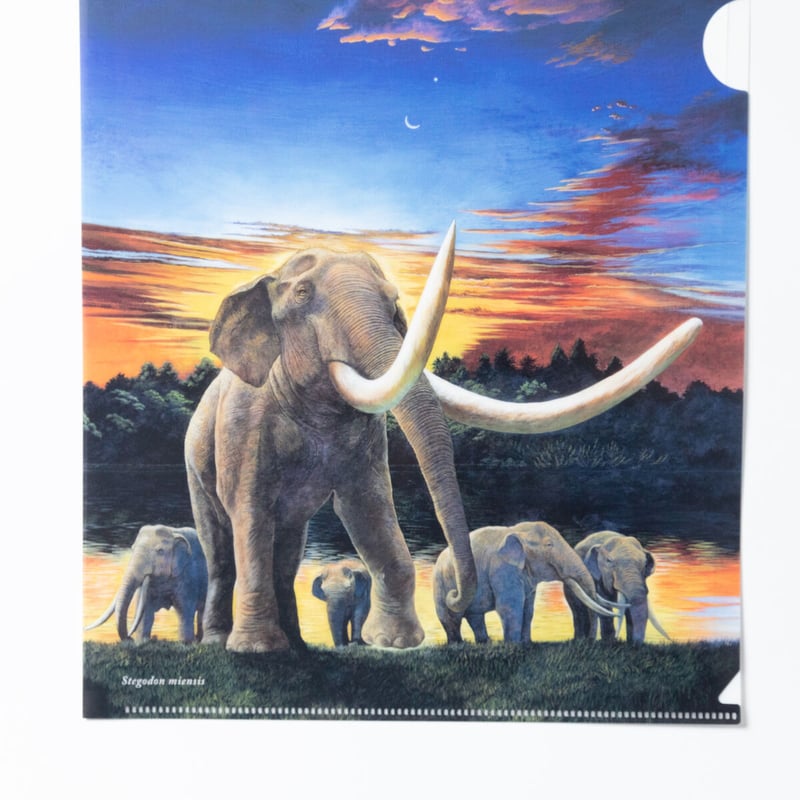 限定　イゾウ　クリアファイル アイドリッシュセブン クリアファイル／9th Anniversary 八乙女