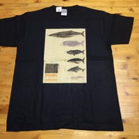 六鯨図Ｔシャツ（色: ネイビー）