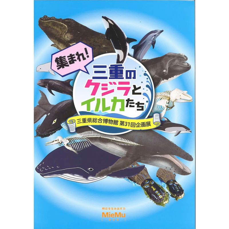 図録「集まれ！三重のクジラとイルカたち」 | MieMu SHOP（ミエム