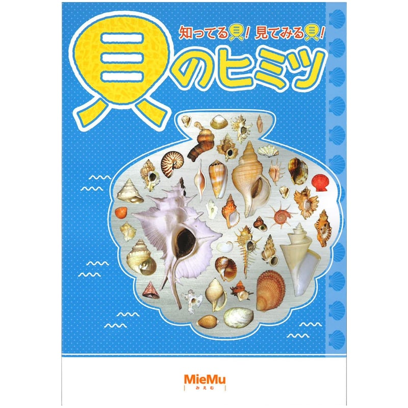 貝殻の記憶 図録「知ってる貝！見てみる貝！貝のヒミツ」 | MieMu SHOP（ミエム