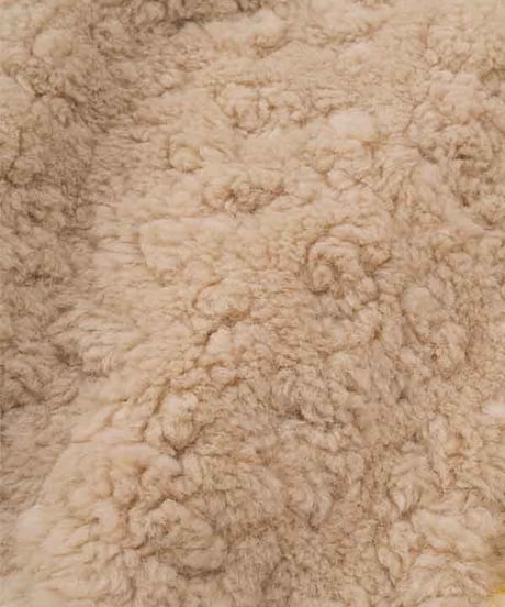 F/CE.×DIGAWEL Fleece Cold Climate Jacket(FCCJ)【IVORY】