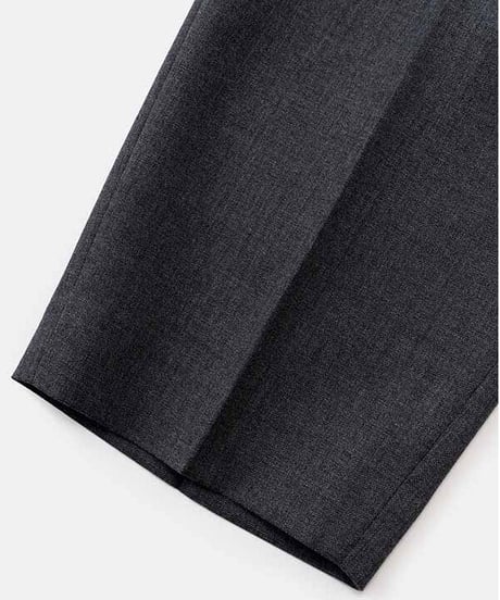 DIGAWEL  CP Trousers【GRAY】