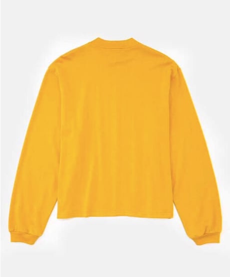DIGAWEL  Mock neck L/S T-shirt【MASTARD】