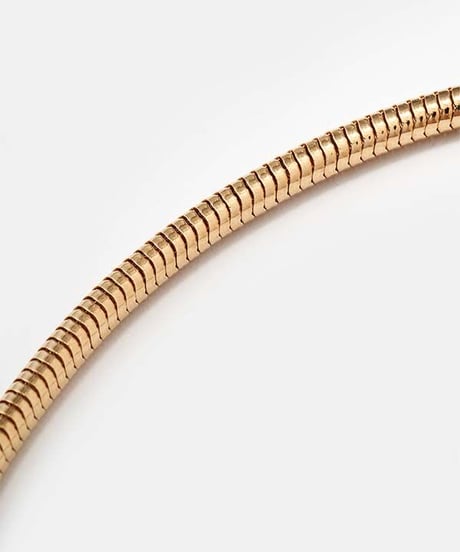 DIGAWEL × J.PRESS「CRST」 3mm Snake Chain Necklace43